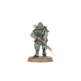 SOLAR AUXILIA COMBAT FORCE