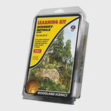 Woodland Scenics Scenery Details Learning kit