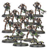 Necrons: Hypercrypt Legion