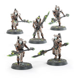 Necrons: Hypercrypt Legion