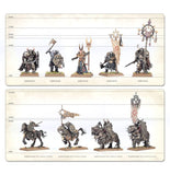 Warriors Of Chaos: Battle March Army