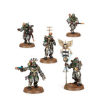 SOLAR AUXILIA COMBAT FORCE
