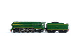 N Scale C38 Class Loco NSWGR 3801 Streamliner "Newcastle Flyer"