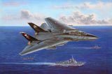 1/48 F-14B Tomcat