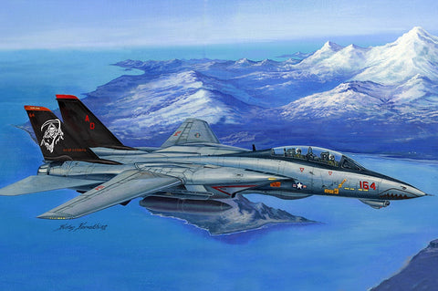 1/48 F-14D Super Tomcat