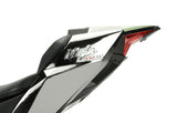 1/9 Kawasaki Ninja H2R (Pre-coloured Edition)
