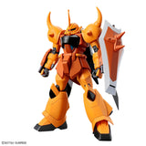 HG 1/144 GOUF IGNITED HEINE WESTENFLUSS CUSTOM