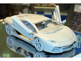 1/24 Lamborghini Aventador (RS-89)