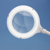 Compact LED Desk Magnifier Lamp