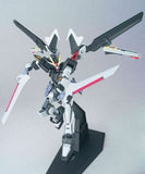 1/144 HG STRIKE NOIR