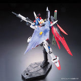 1/144 RG DESTINY GUNDAM