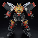 RG GAOGAIGAR